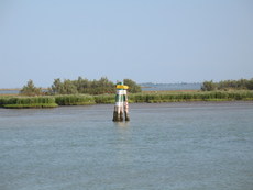 Italien Venetien Marano Lagunare 009.JPG